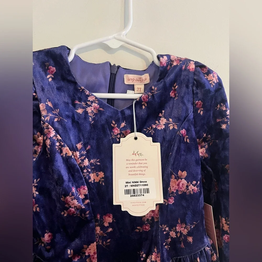 Ivy City Co Mini Nikki Dress 2T Floral Tiered Long Sleeve NWT - Picture 2 of 4